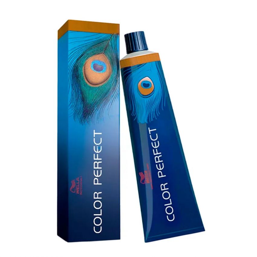 COLOR PERFECT 6/73 COM 60 GRAMAS
