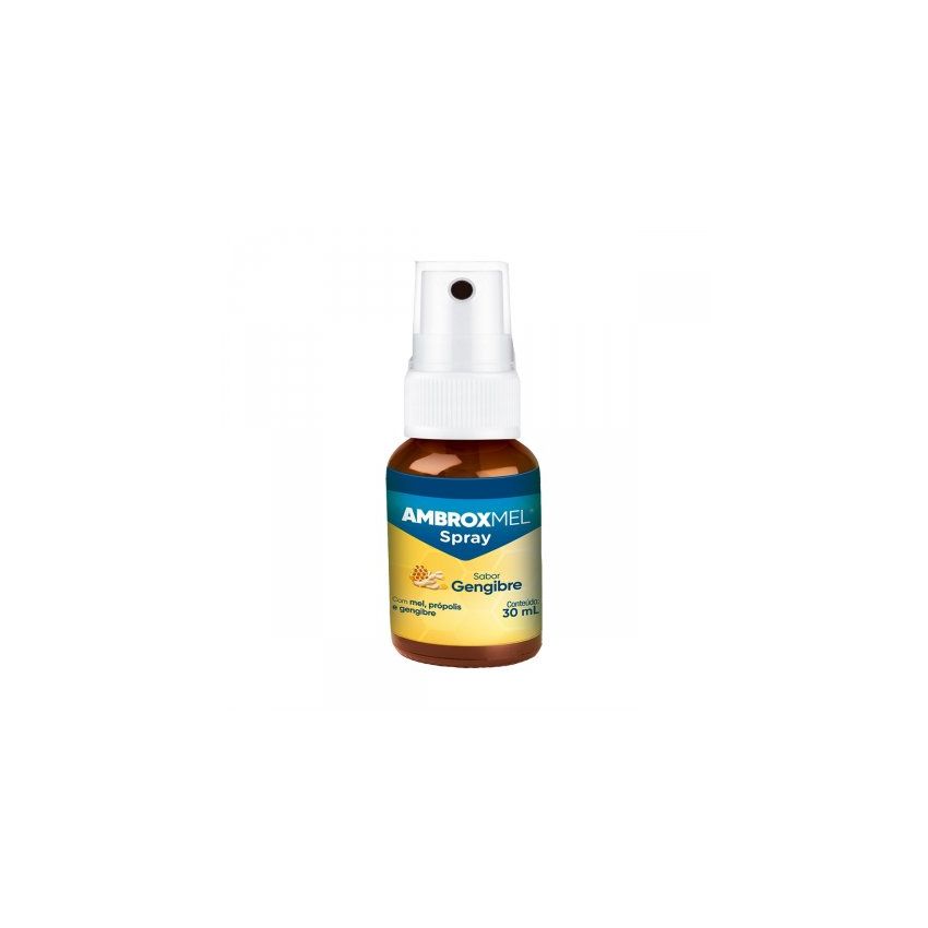 AMBROXMEL GENGIBRE SPRAY COM 30 ML
