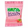 VALDA FRIENDS MORANGO SACHE 25G