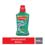 ENXAGUANTE BUCAL COLGATE PLAX FRESH MINT 500ML