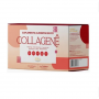 COLLAGENE EM PO SABOR CRANBERRY COM 30 SACHES DE 10 G