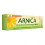 ARNICA POMADA COM 30 GRAMAS