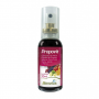 PROPOVIT SPRAY TUTTI FRUTTI COM 35 ML