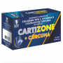CARTIZONE + CURCUMA 500MG COM 60 CAPSULAS