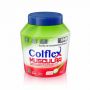 COLFLEX MUSCULAR SABOR BAUNILHA 381 GRAMAS