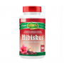 HIBISCO COM GENGIBRE 500MG COM 90 COMPRIMIDOS UNILIFE
