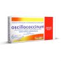 OSCILLOCOCCINUM COM 6 TUBOS DE 1 GRAMA