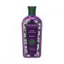 SHAMPOO PHYTOERVAS ANTIQUEDA 250ML