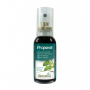 PROPOLIS SPRAY COM 35ML BIONATUS