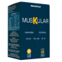 MUSKULAR POTASSIO VIT D B1 E B12 500MG COM 60 CAPSULAS