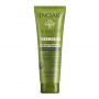 DEFRIZANTE TERMOATIVADO INOAR ARGAN OIL 240ML