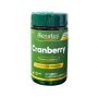 CRANBERRY 500MG COM 50 CAPSULAS